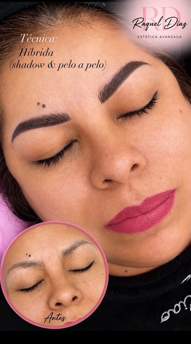Cejas hibrida